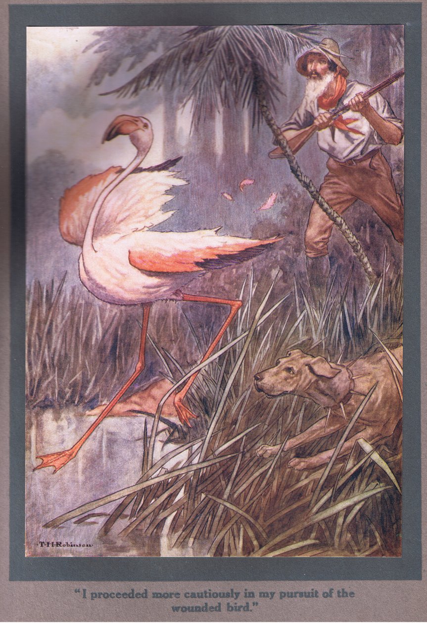 Jag gick mer försiktigt fram i min jakt på den skadade fågeln (färglitografi) av Thomas Heath Robinson