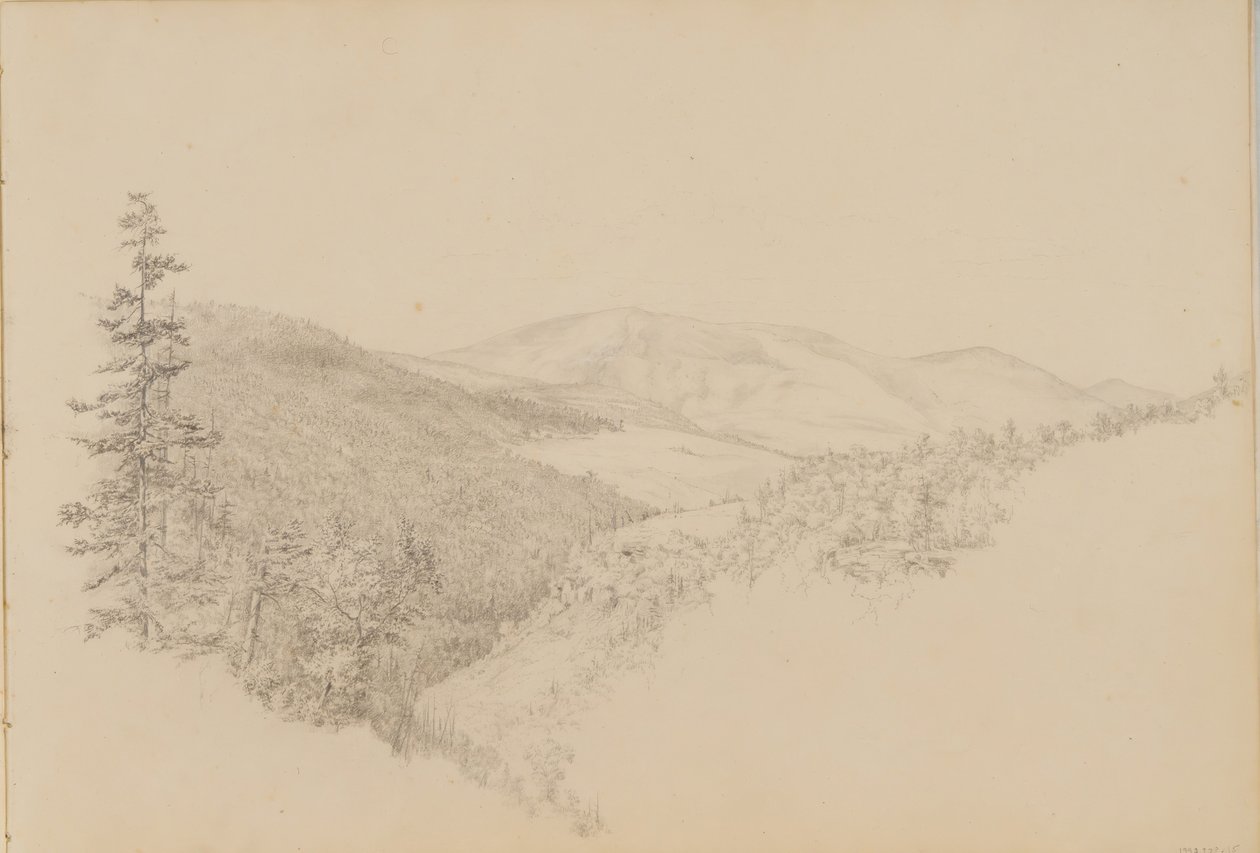 Kauterskill Clove från Sketchbook of Landscape and Animal Subjects, ca. 1860-64. av Thomas Hewes Hinckley