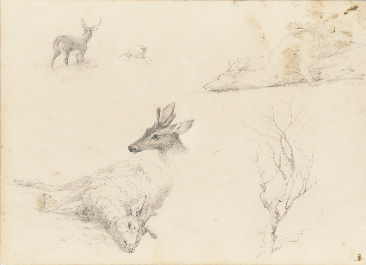 Skissbok över landskap och djurämnen, 1860-64. av Thomas Hewes Hinckley