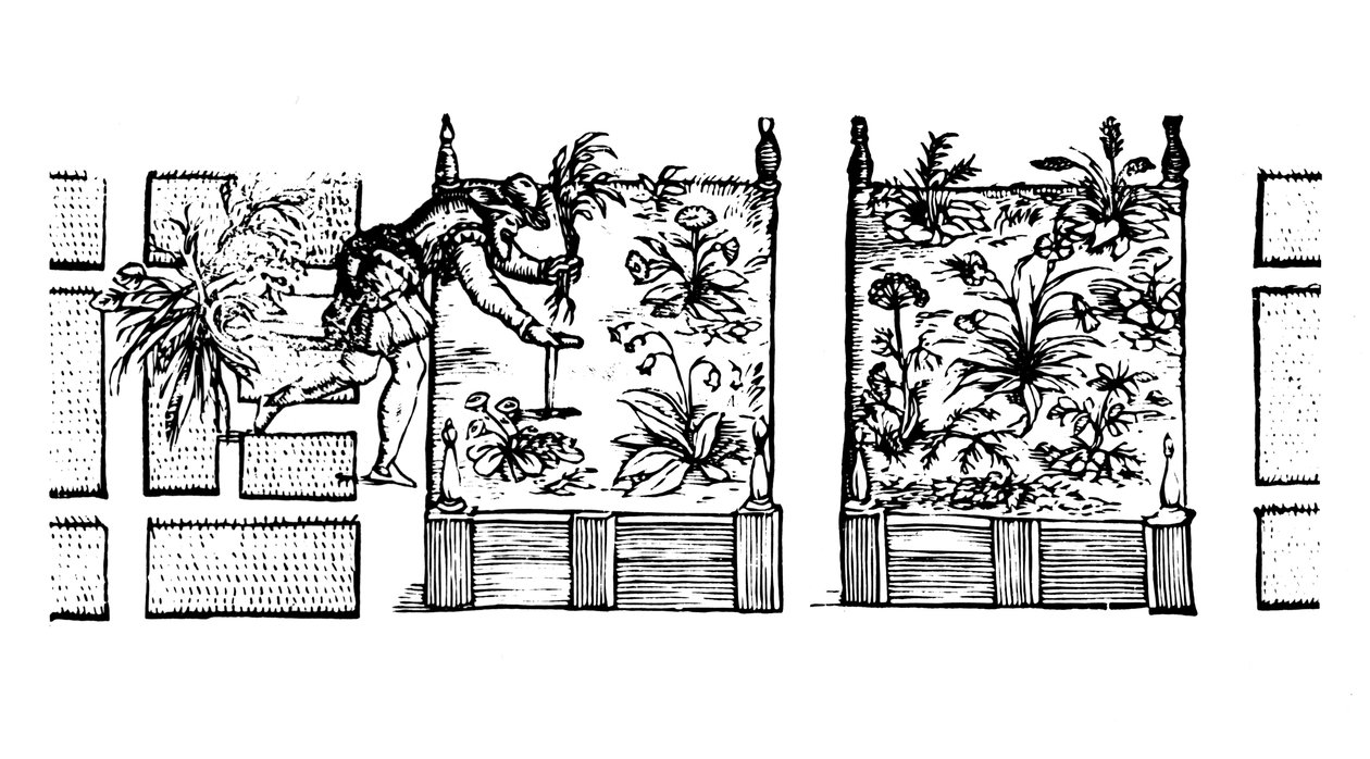 Plantering i upphöjda bäddar, från "The Gardener