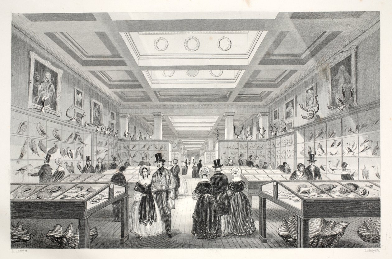 British Museum, Zoological Gallery, från puben 