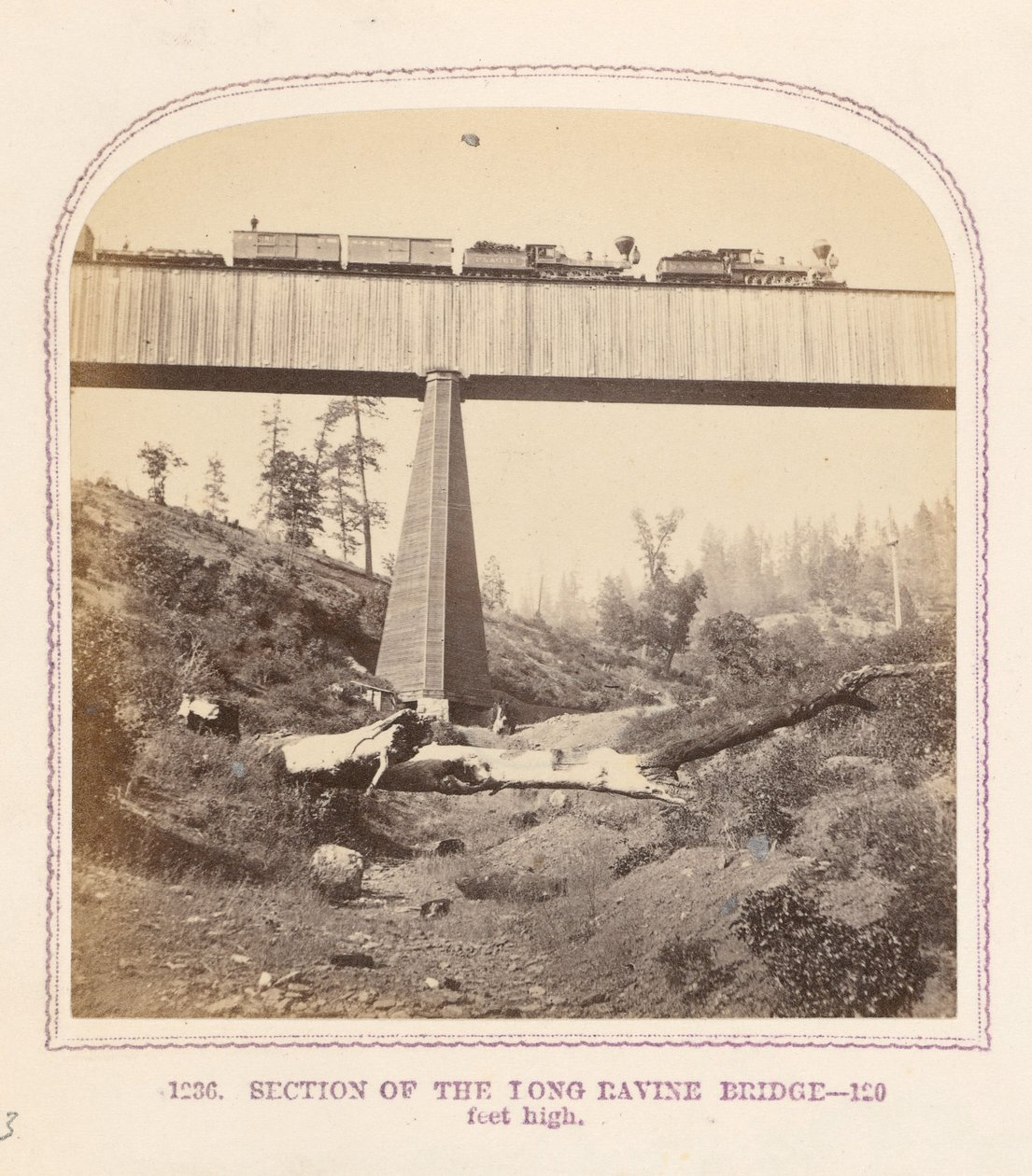 Sektion av Long Ravine-bron av Thomas Houseworth