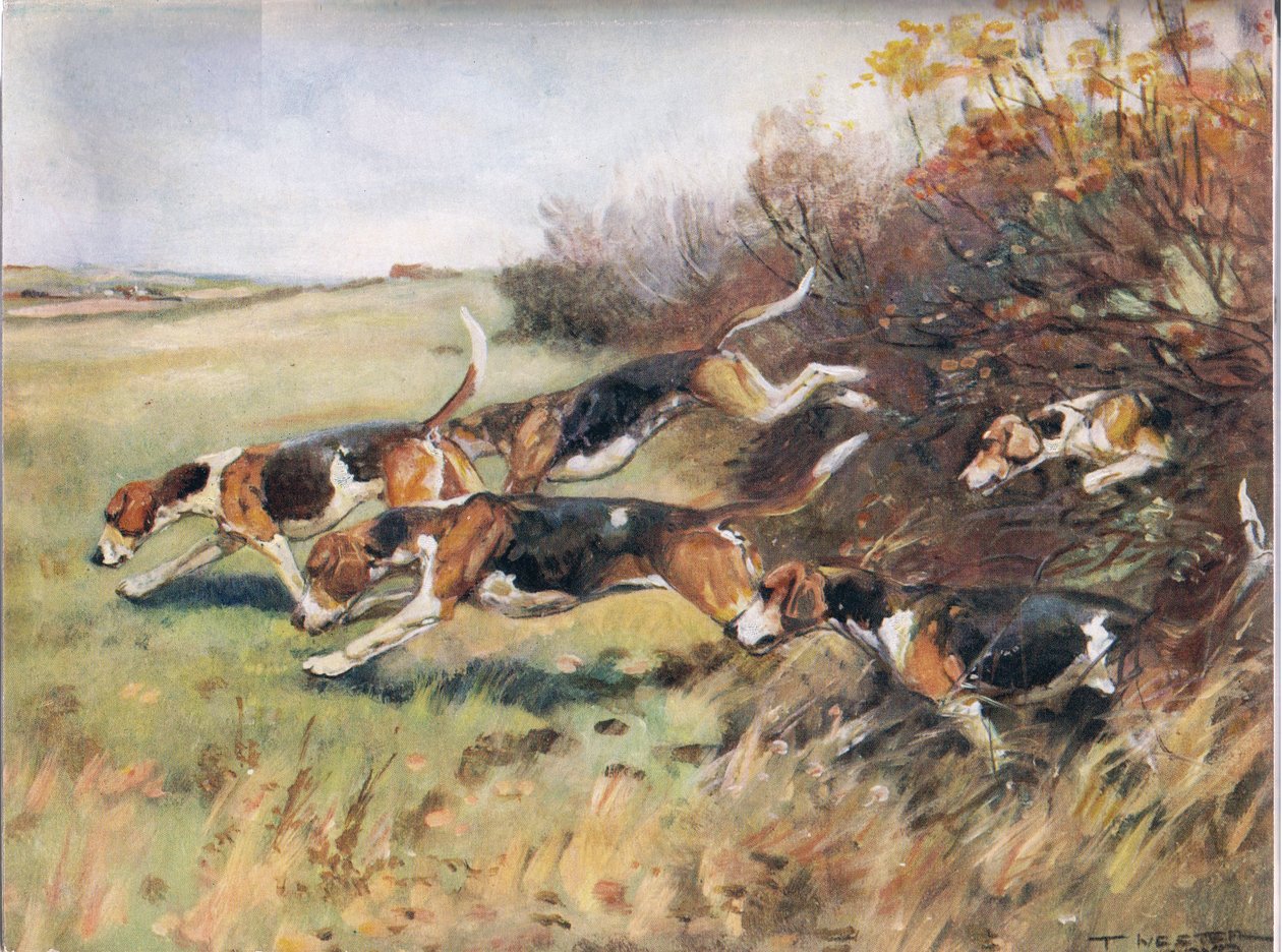 Efter doften, illustration från "Hounds" av Thomas Ivester Lloyd