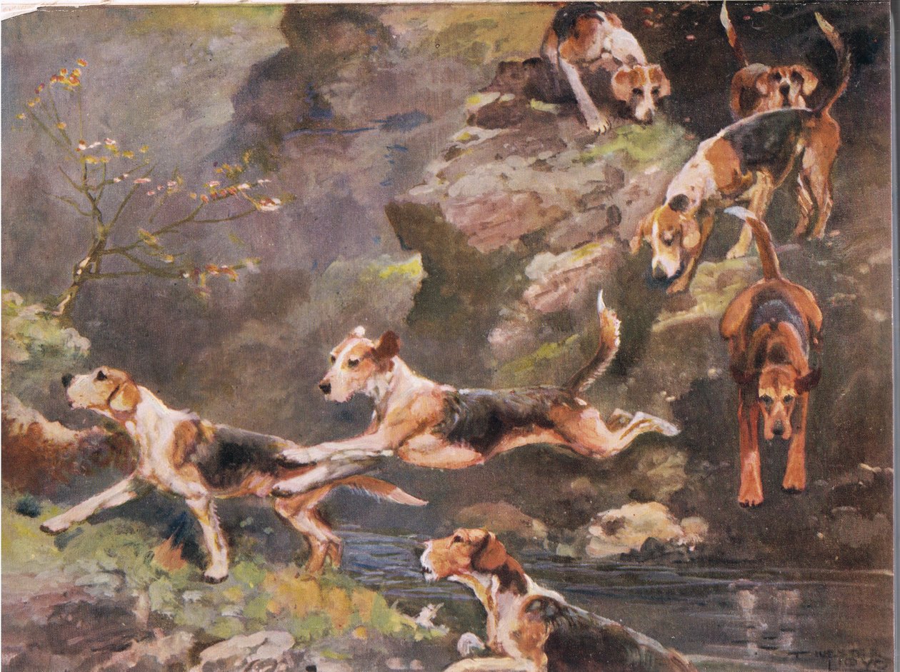 Over the River, illustration från "Hounds" (hundar) av Thomas Ivester Lloyd