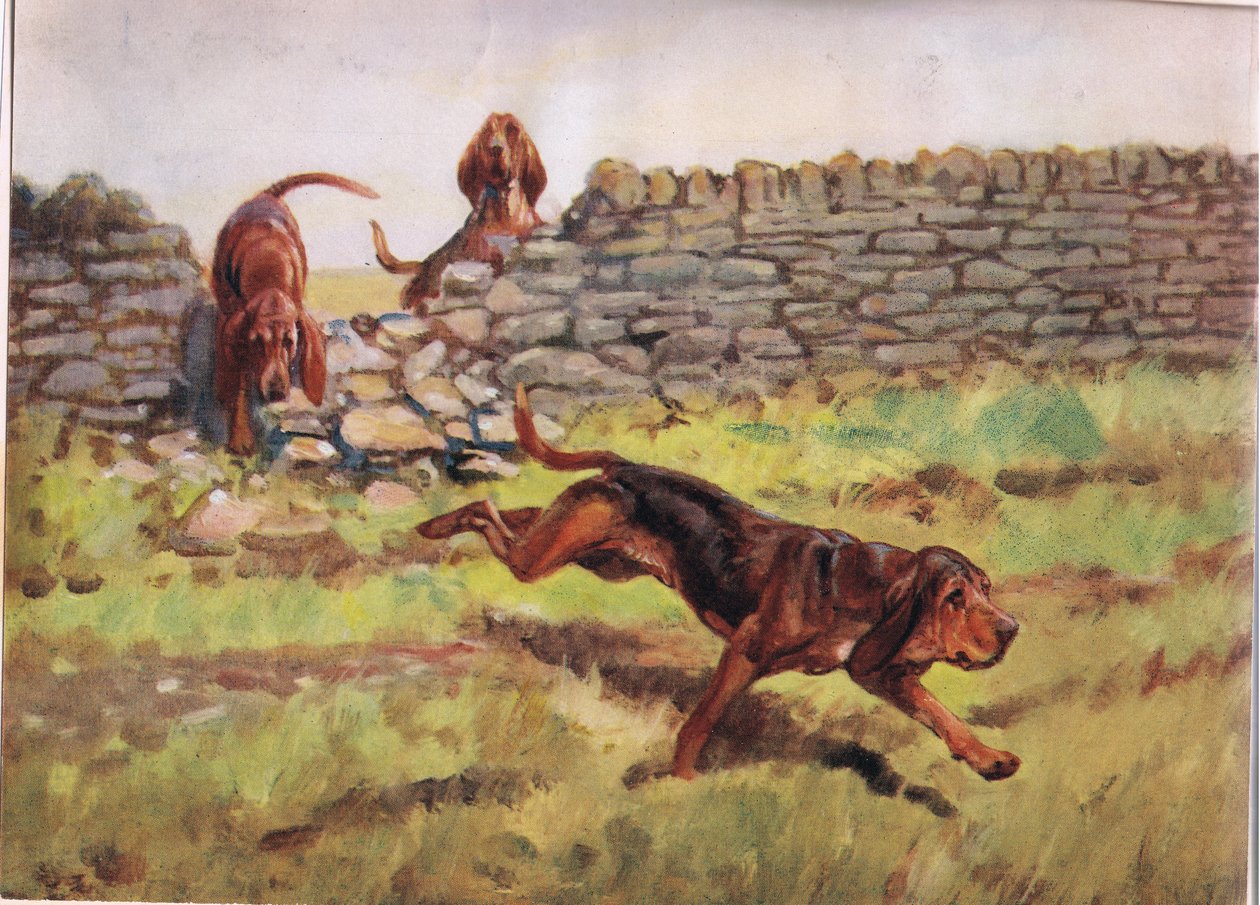 Over the Wall, illustration från 