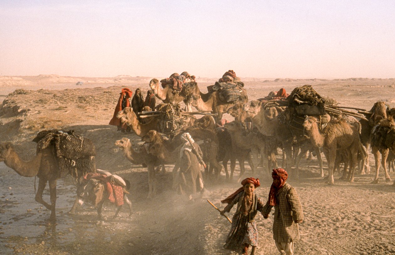 Stambarn med kamelkaravan, kuchi-karavanörer, stannade till vid bevattningsdiket vid... av Thomas J. Abercrombie