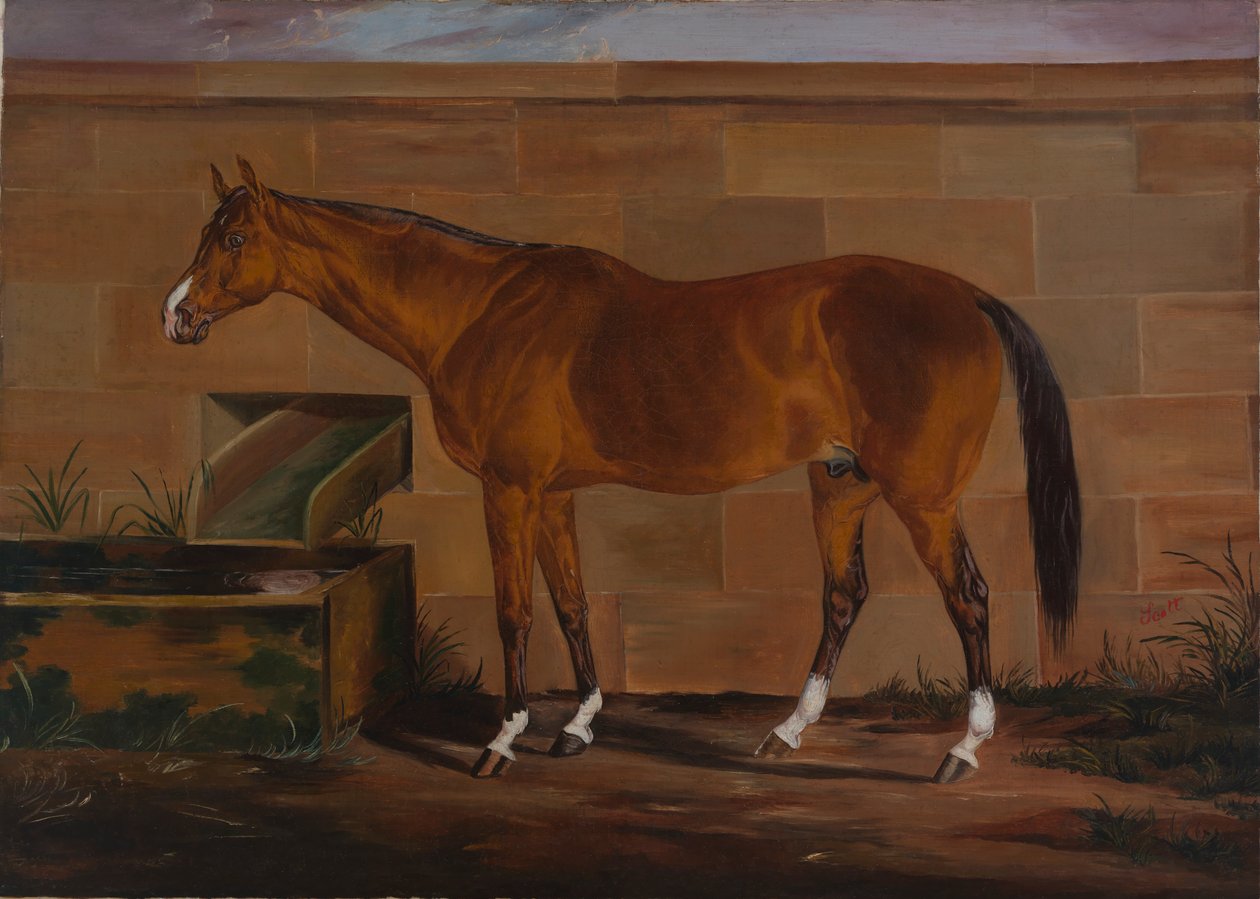 Porträtt av Lexington, ca. 1857. av Thomas J. Scott