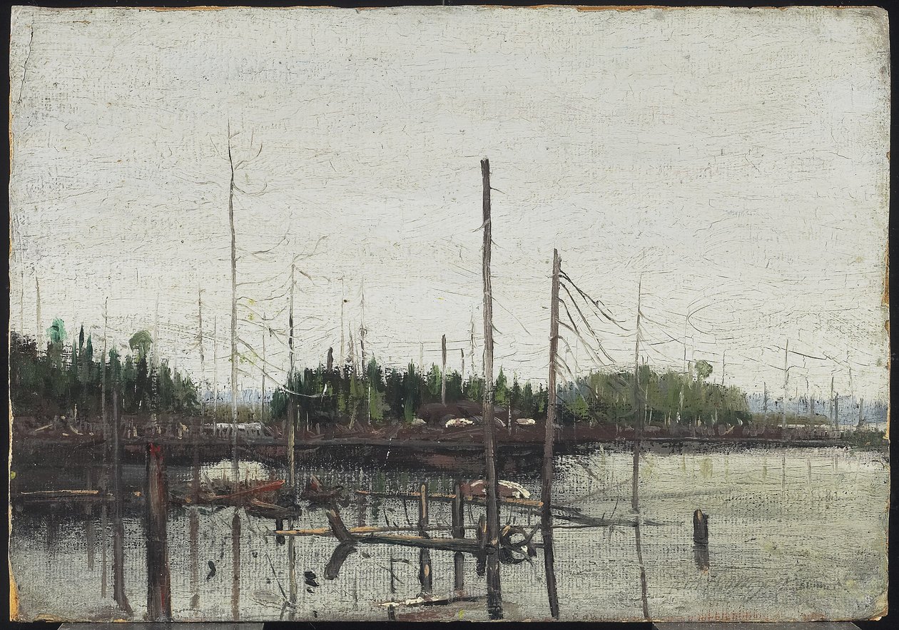 Drowned Land, 1912 (olja på papper (med präglad dukstruktur) på trä) av Tom Thomson