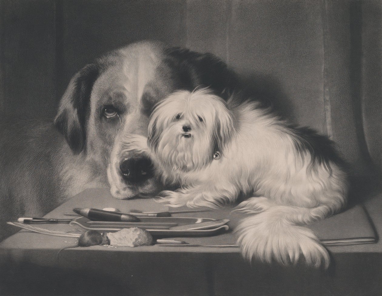 The Lion-Dog of Malta--The Last of His Tribe, 1844. av Thomas Landseer