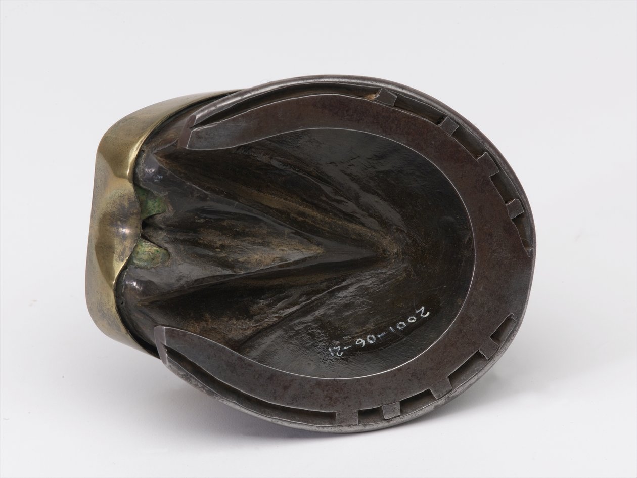 Hästs hov bläckhus tillhörande kapten William Tyrwhitt Drake, Royal Horse Guards, ca 1829 (bläckhus, hästhov) av Thomas Lee