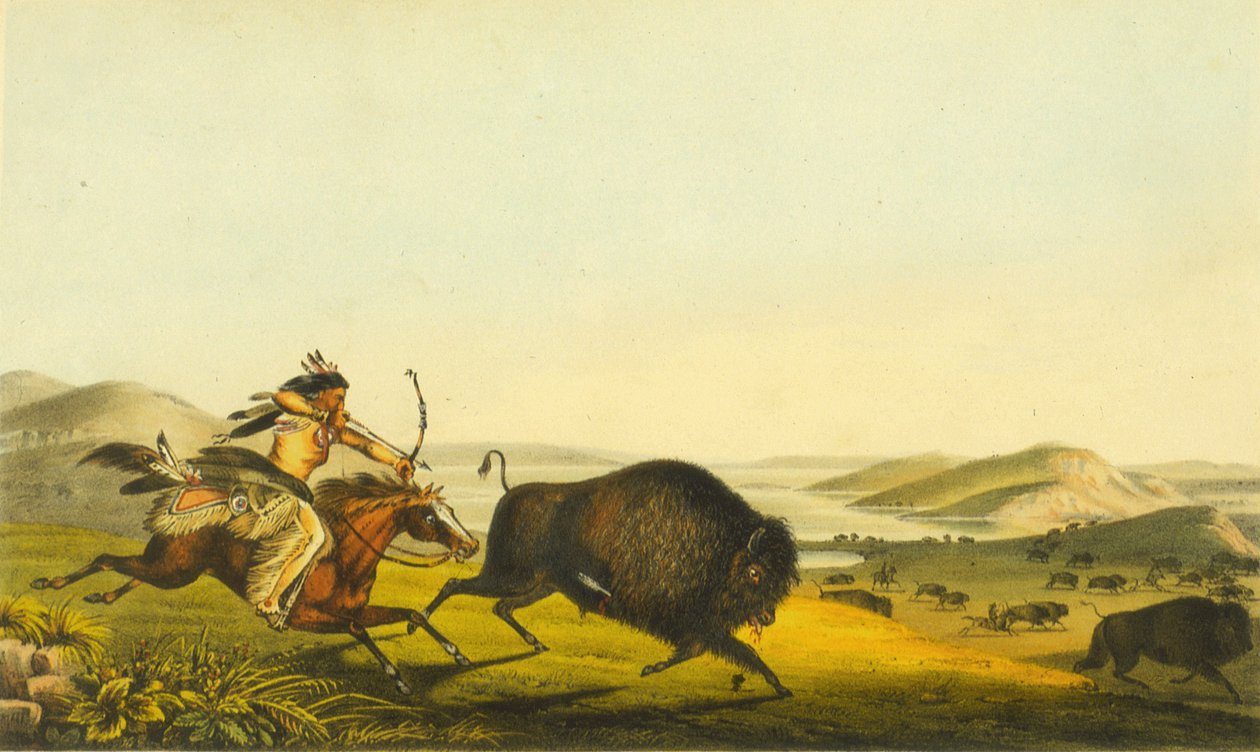 Jaga buffeln, 1848 (handfärgad litho) av Thomas Loraine McKenney