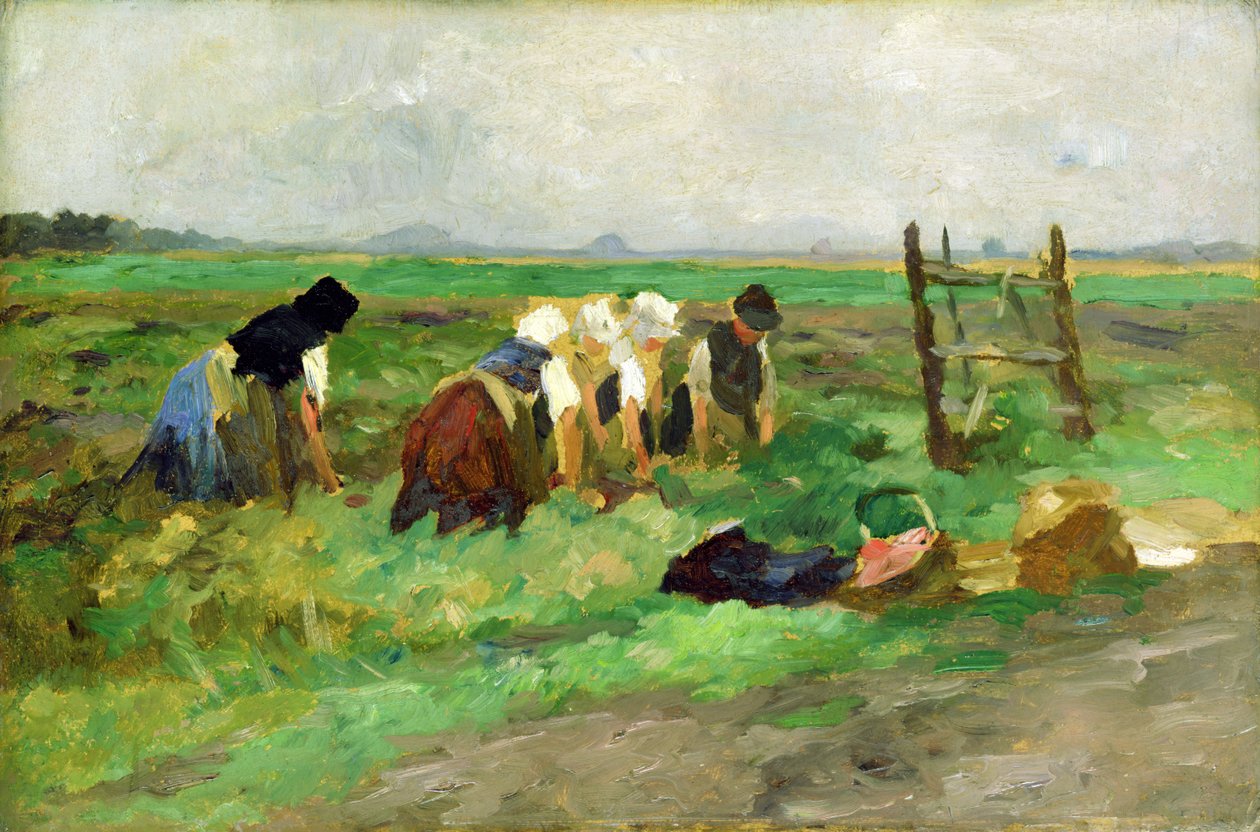 Fältarbetare, ca 1900 (olja på kartong) av Thomas Ludwig Herbst