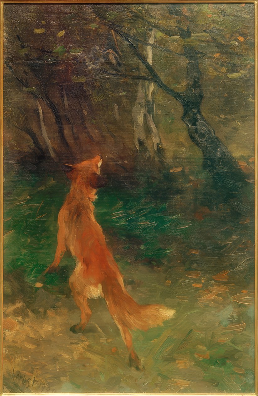 Fox tittar på en fågel av Thomas Ludwig Herbst