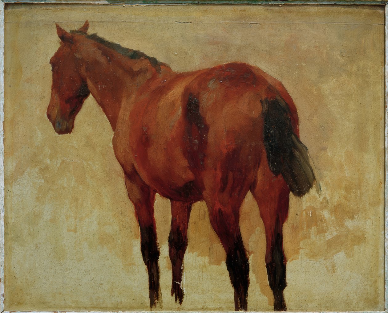 Häststudie av Thomas Ludwig Herbst