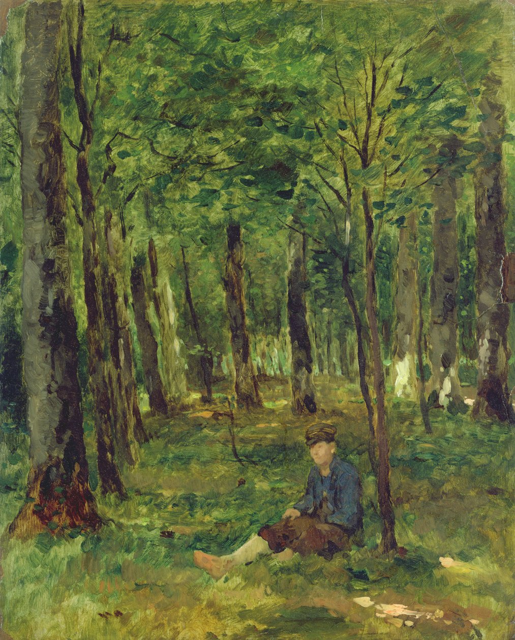 Young Farmer saofa