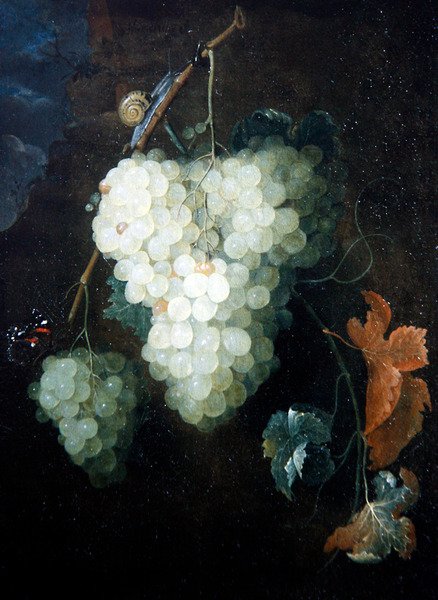 Ett stilleben med vindruvor, en röd amiral och en snigel av Thomas Mertens