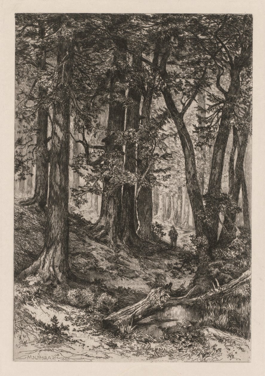 Interiör från en kalifornisk skog (efter Thomas Moran (amerikansk av Thomas Moran