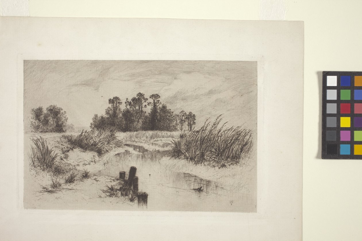 Marshy Landscape With Stream (etsning på papper) av Thomas Moran