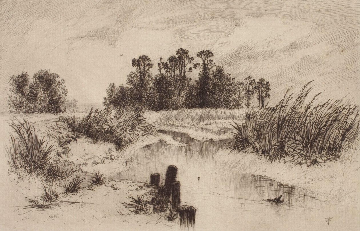 Sumpigt landskap med bäck av Thomas Moran