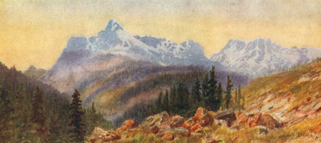  av Thomas Mower Martin