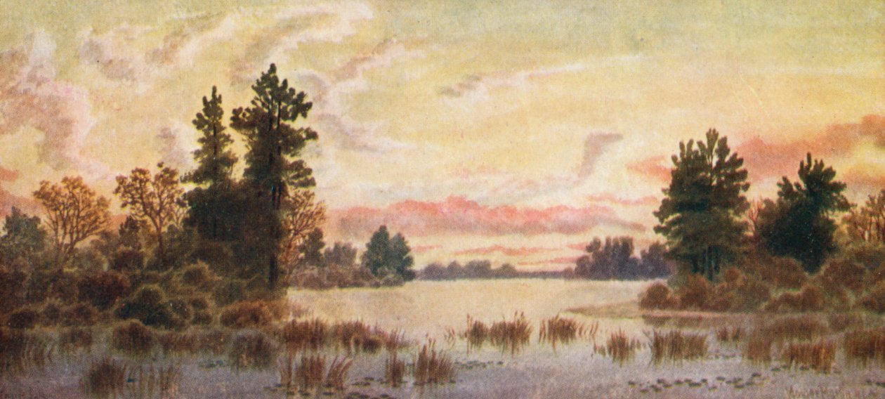  av Thomas Mower Martin