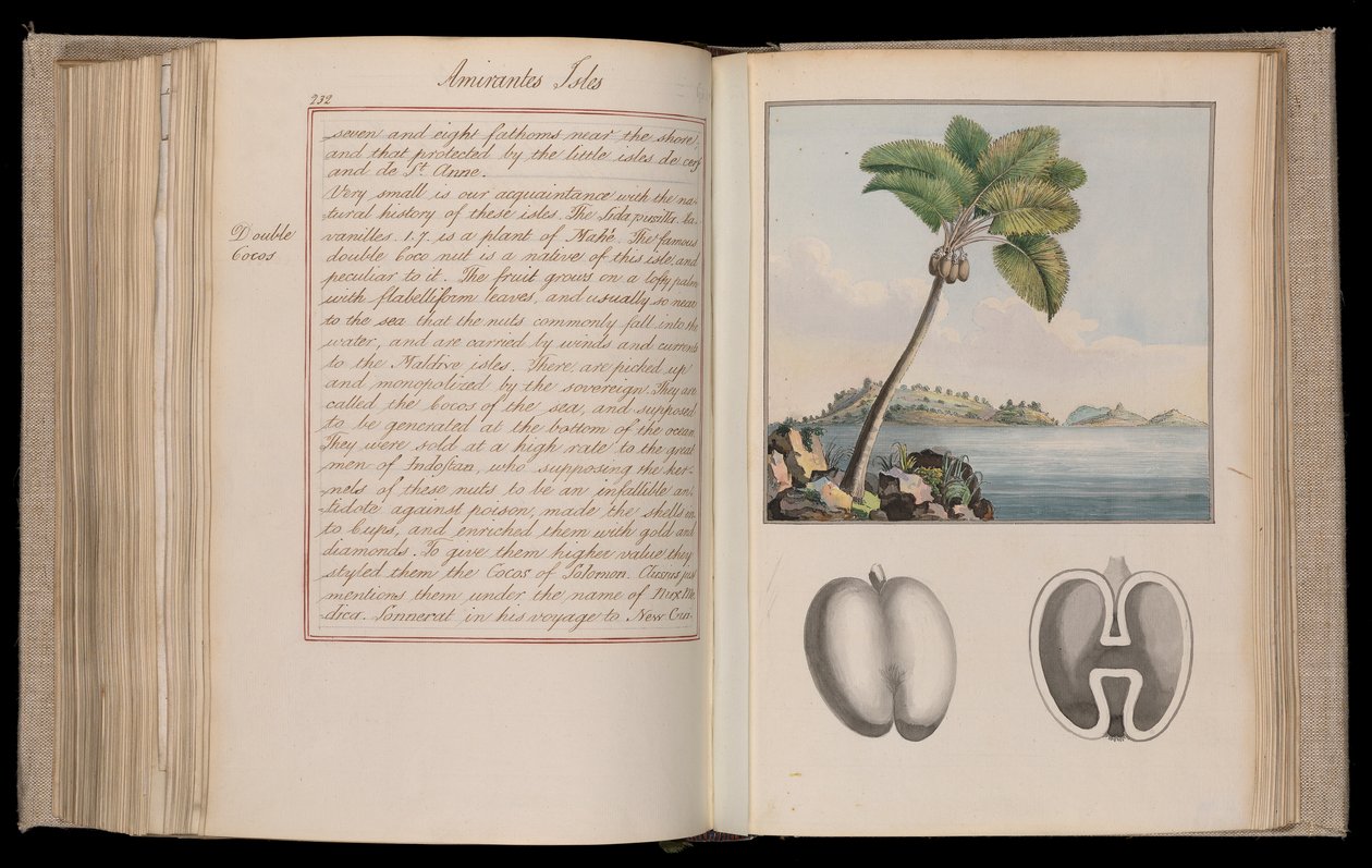 Etiopiska Afrika. "Outlines of the Globe" eller "Imaginary World Tour" i tjugotre volymer - berättelser, naturhistoria och skisser av Thomas Pennant (1726-1798), naturforskare, resenär och författare av Thomas Pennant