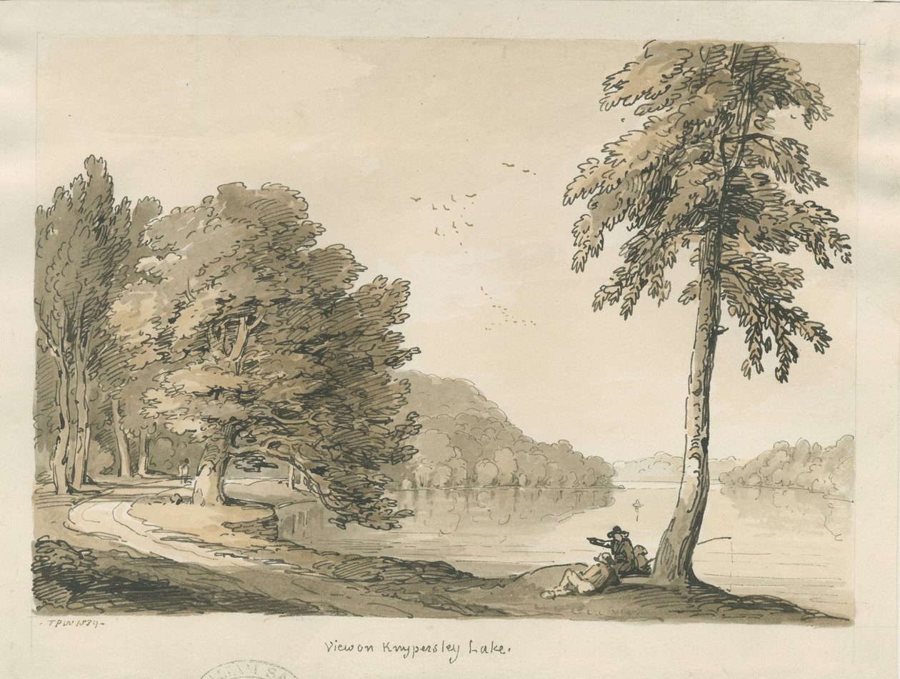 Biddulph Moor - Brudstenarna: gravyr av Thomas Peploe Wood