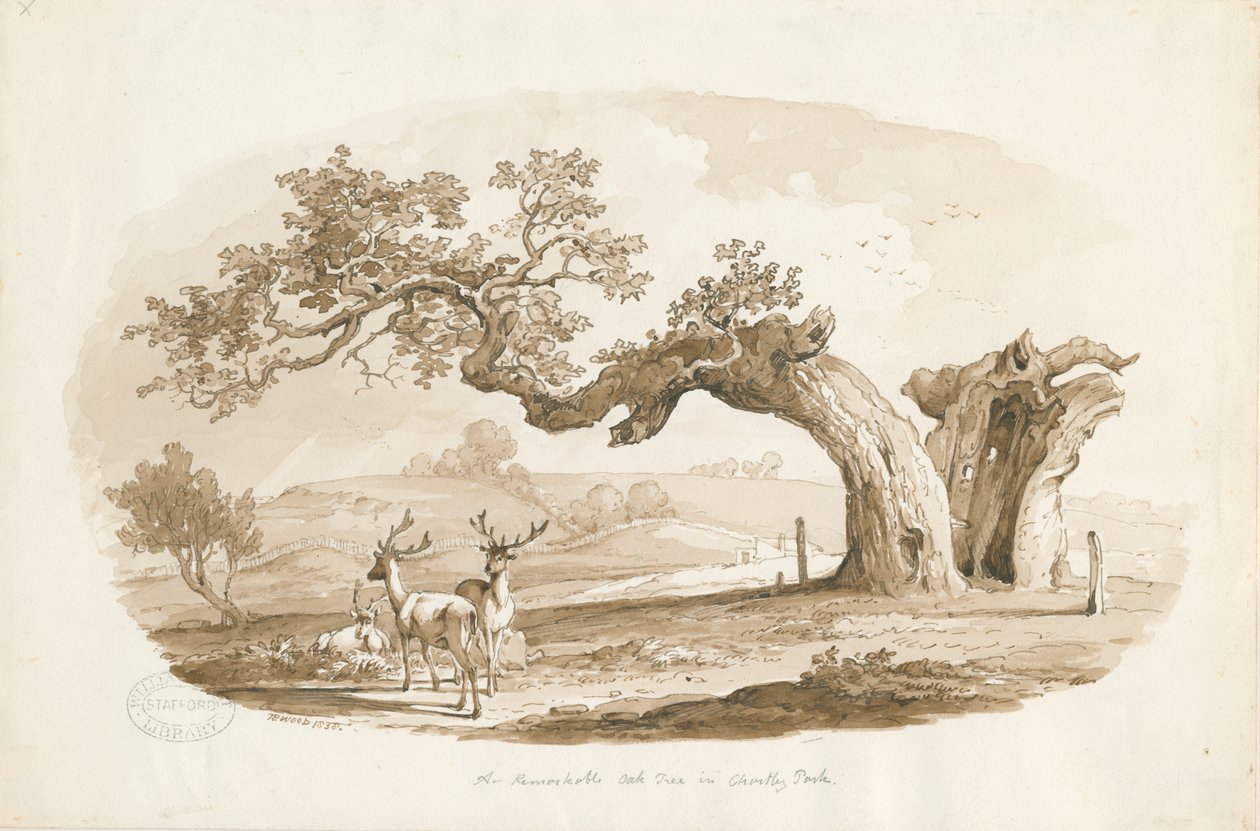 Chartley Hall - Park: sepiateckning (vinjeterad) av Thomas Peploe Wood