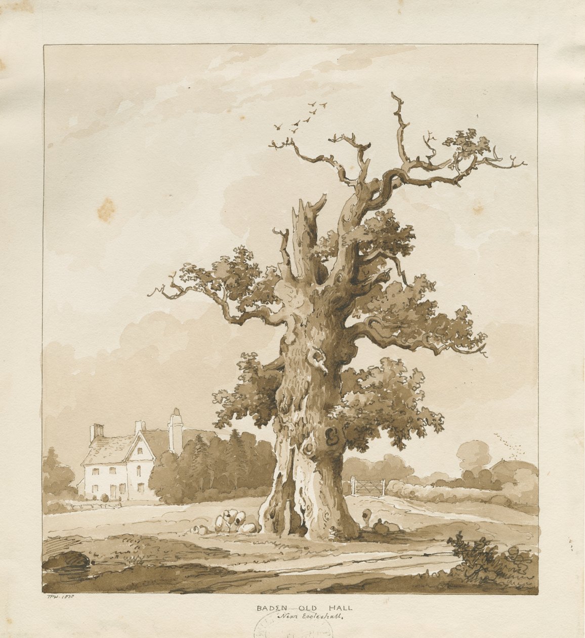 Eccleshall - Baden Old Hall: sepiateckning av Thomas Peploe Wood
