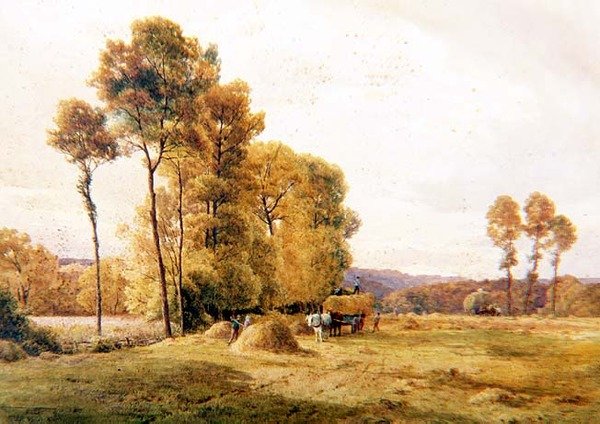 Hayfield, kväll av Thomas Pyne