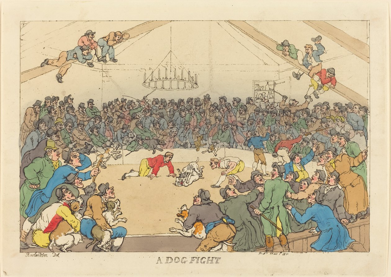 En hundkamp av Thomas Rowlandson