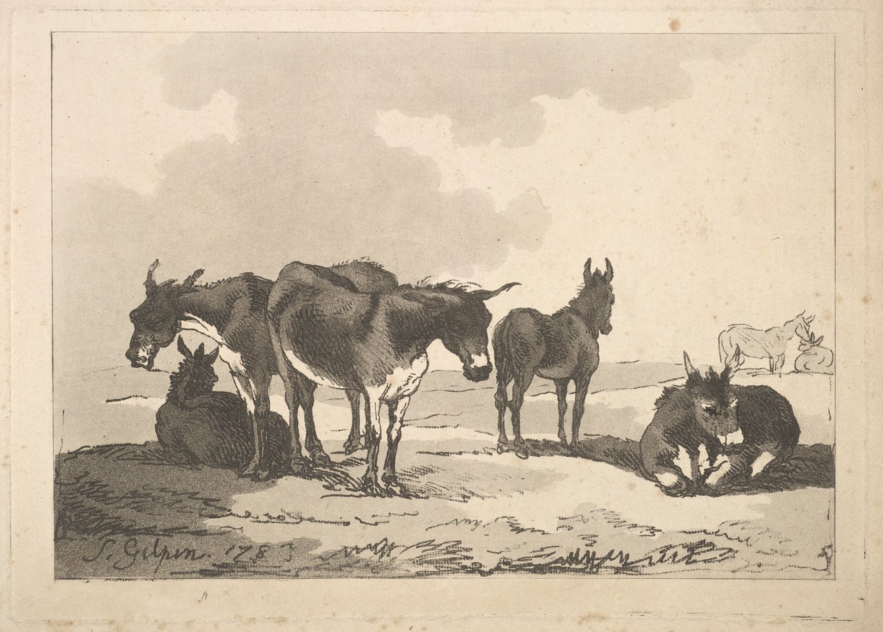 En grupp av fem åsnor, tre stående, två liggande, 1783-87. av Thomas Rowlandson