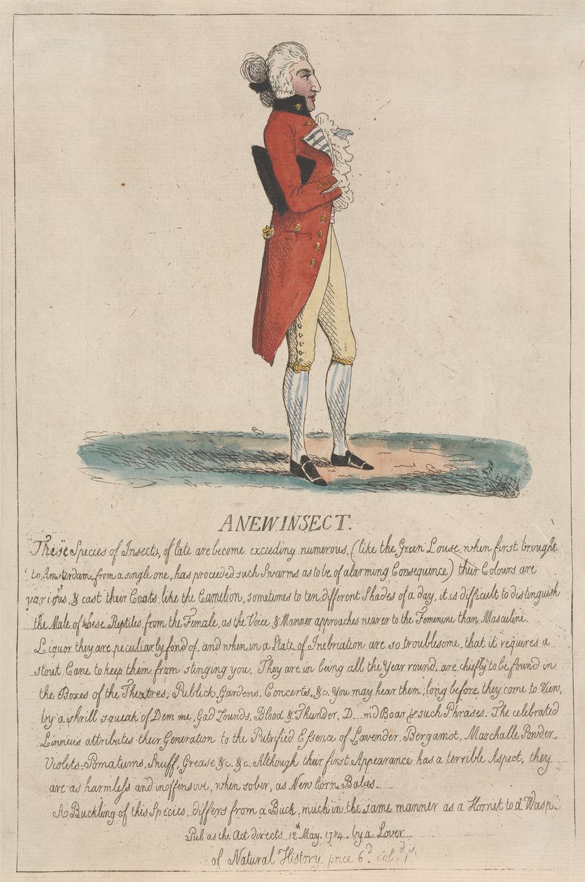 Ett nytt insekt av Thomas Rowlandson