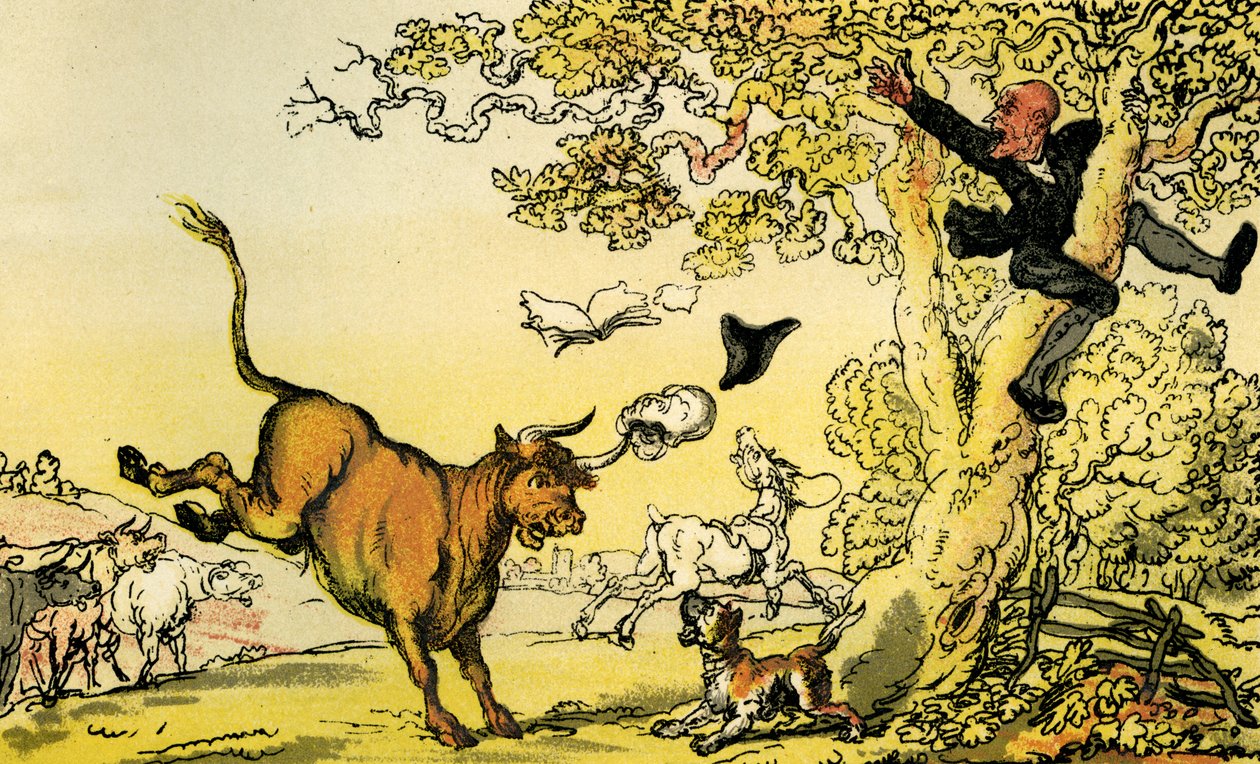 "Dr Syntax jagad av en tjur" av Thomas Rowlandson