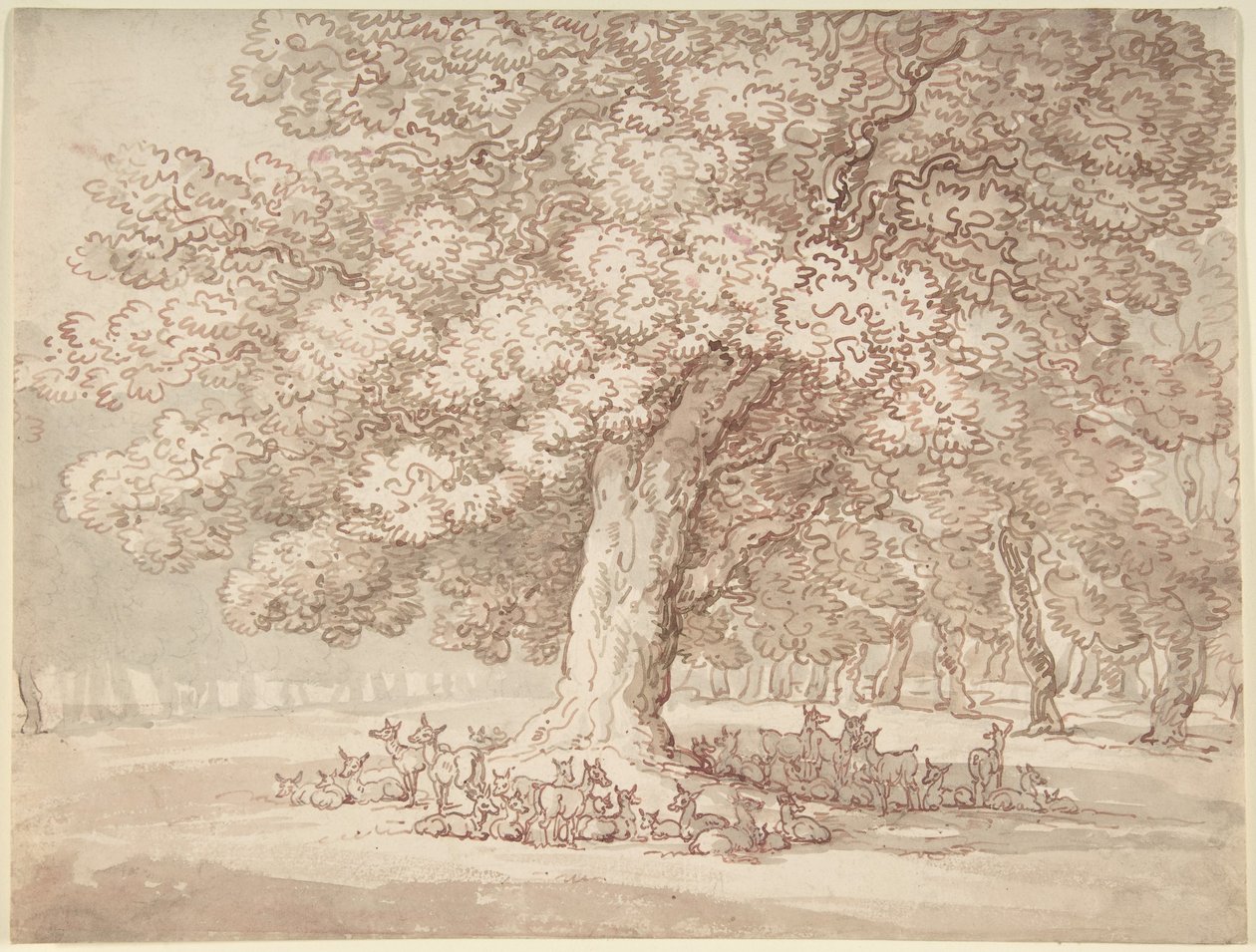 En hjord med hjortar under en ek av Thomas Rowlandson
