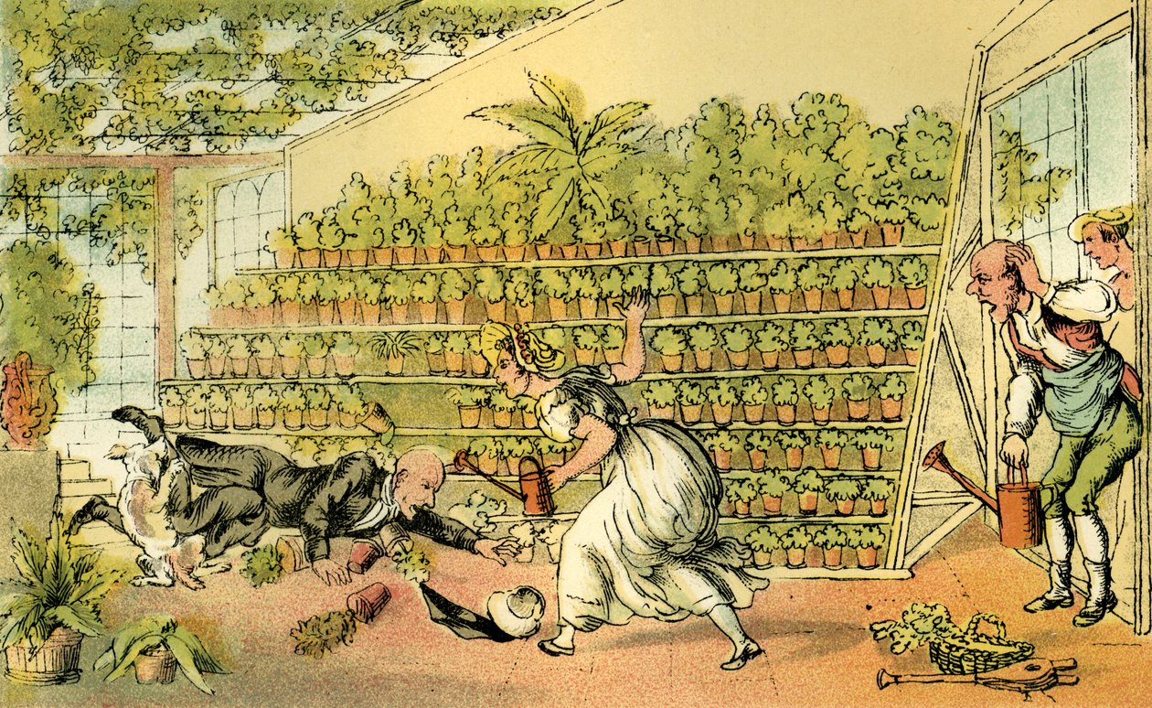 "Otur i Tulip Hall" av Thomas Rowlandson