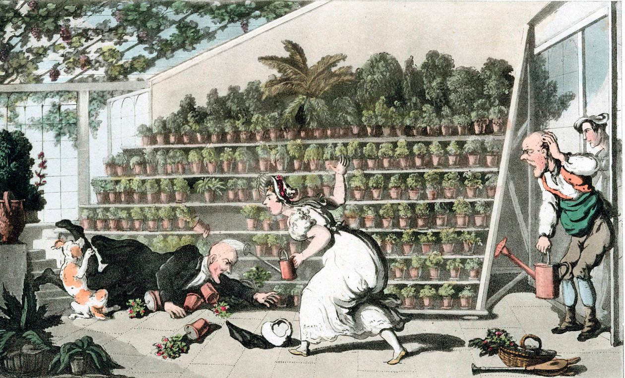 Olycka i tulpanhallen, c1816 av Thomas Rowlandson