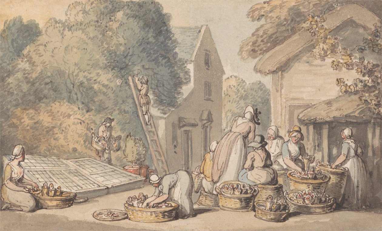 Att plocka mullbär av Thomas Rowlandson