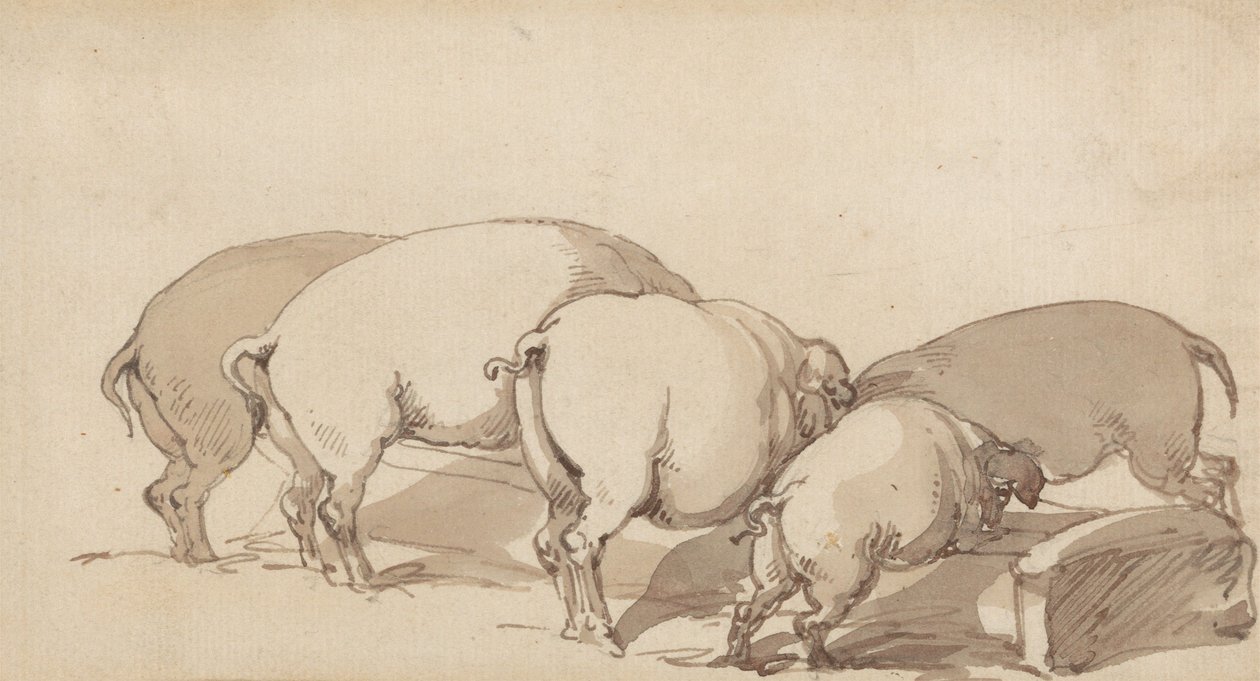 Grisar vid ett fodertråg av Thomas Rowlandson