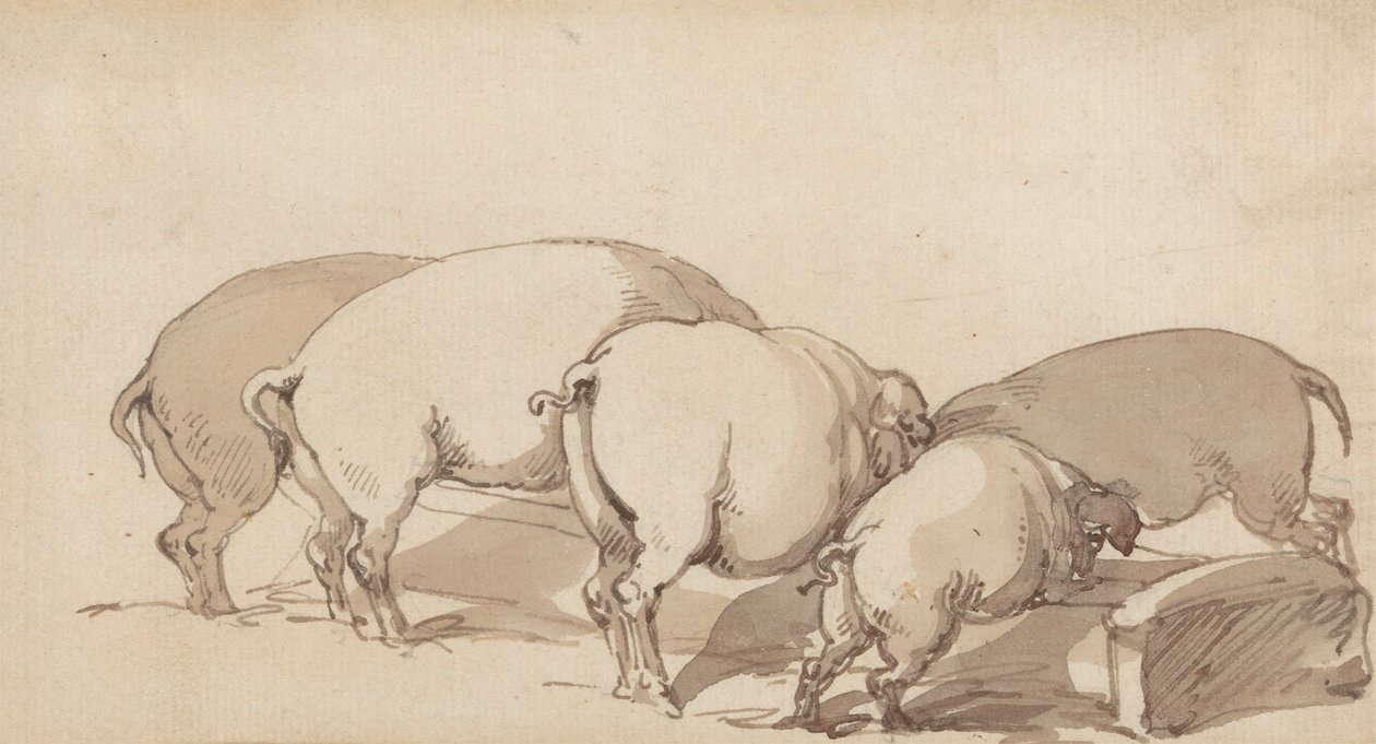 Pigs at a Trough, ca 1790 (grafit med penna och bläck och brun tvätt på papper) av Thomas Rowlandson