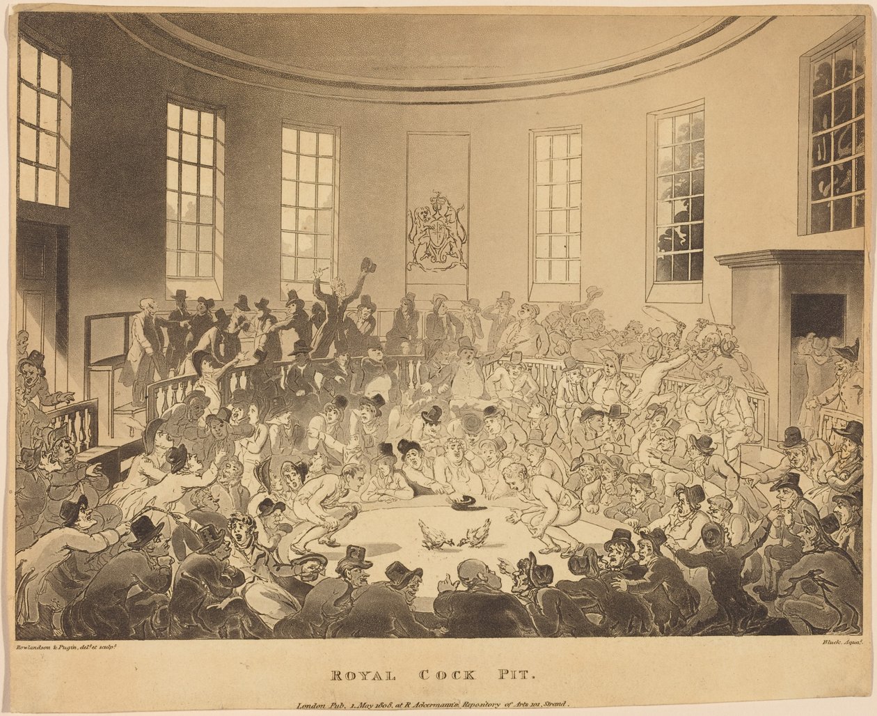 Royal Cock Pit av Thomas Rowlandson