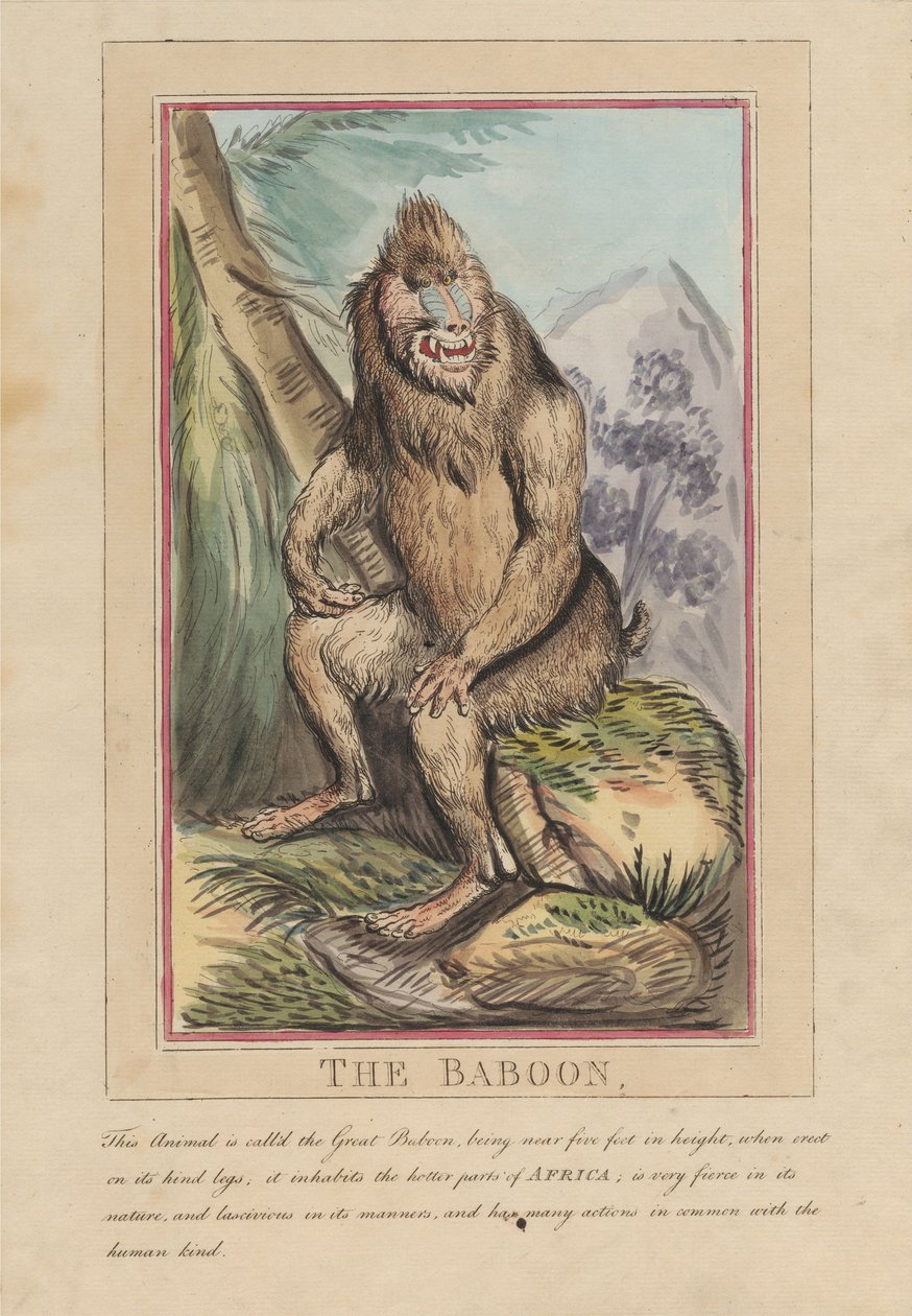 Ett set om åtta med titelsida. ”Utländska och inhemska djur.” 2. Lejonet av Thomas Rowlandson
