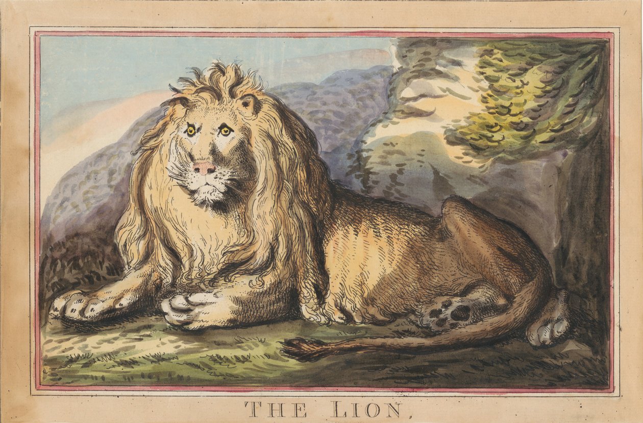 Ett set om åtta med titelsida. ”Utländska och inhemska djur.” 3. Lejoninnan av Thomas Rowlandson