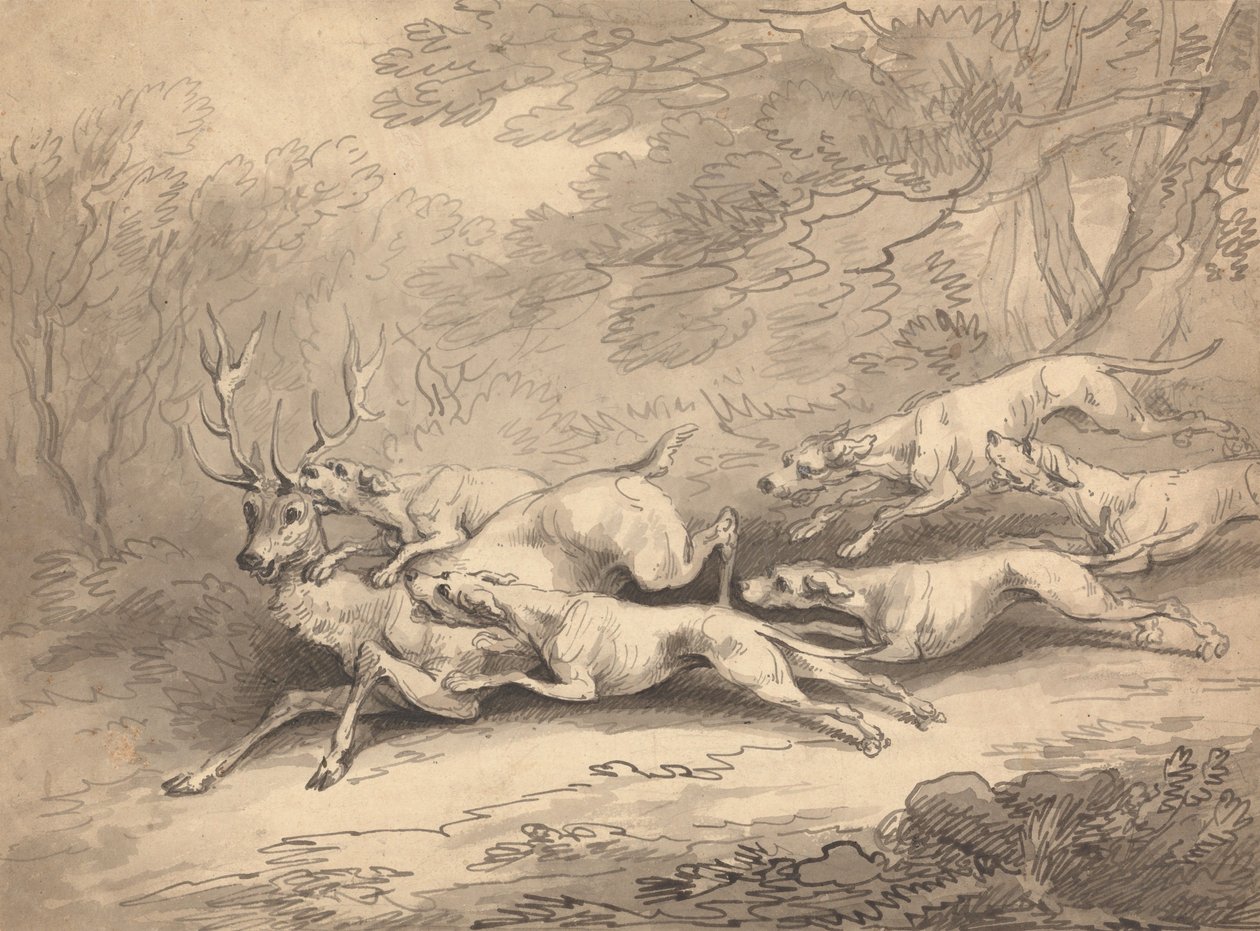 Hjort nedlagd av en hundflock av Thomas Rowlandson