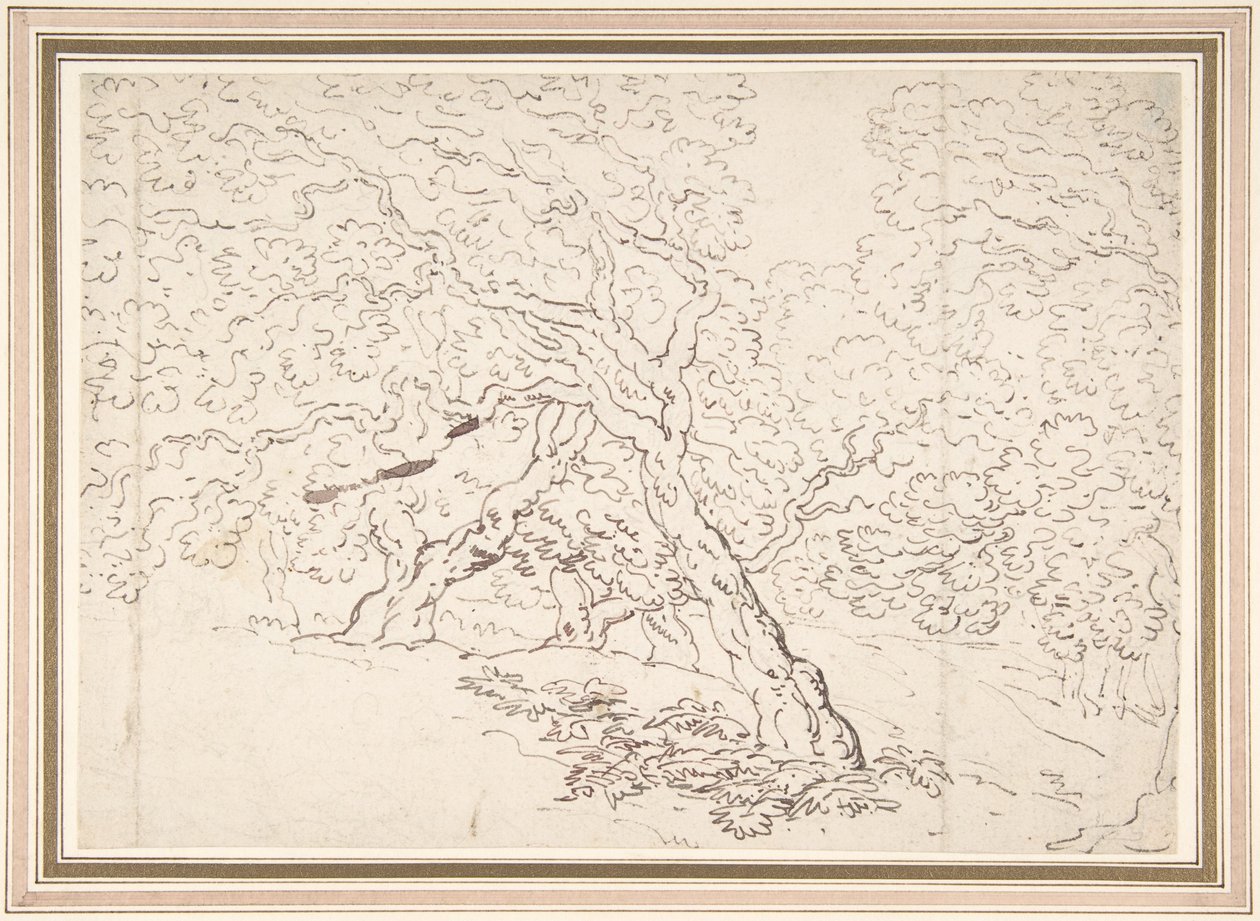 Studie av träd av Thomas Rowlandson