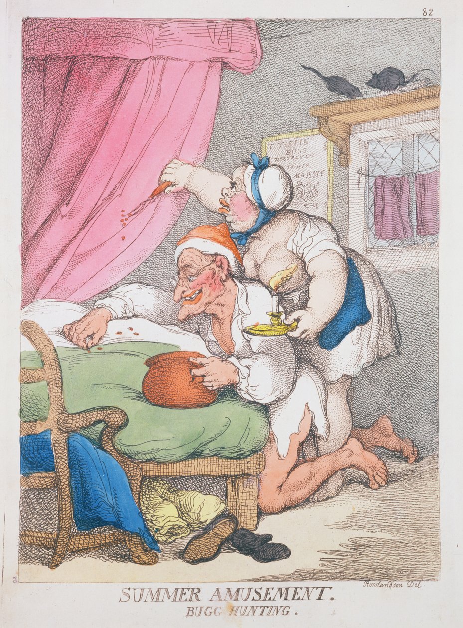 Sommarnöjen. Buggjakt av Thomas Rowlandson