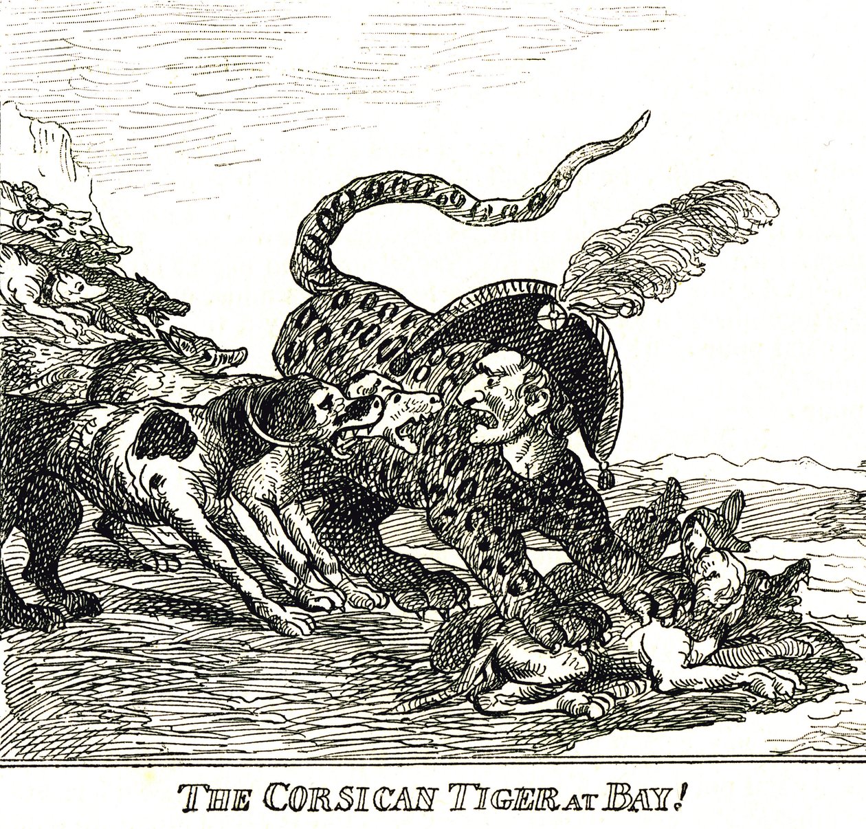 Den barkade korsikanska tigern (Napoleon Bonaparte), karikatyr 1808 av Thomas Rowlandson