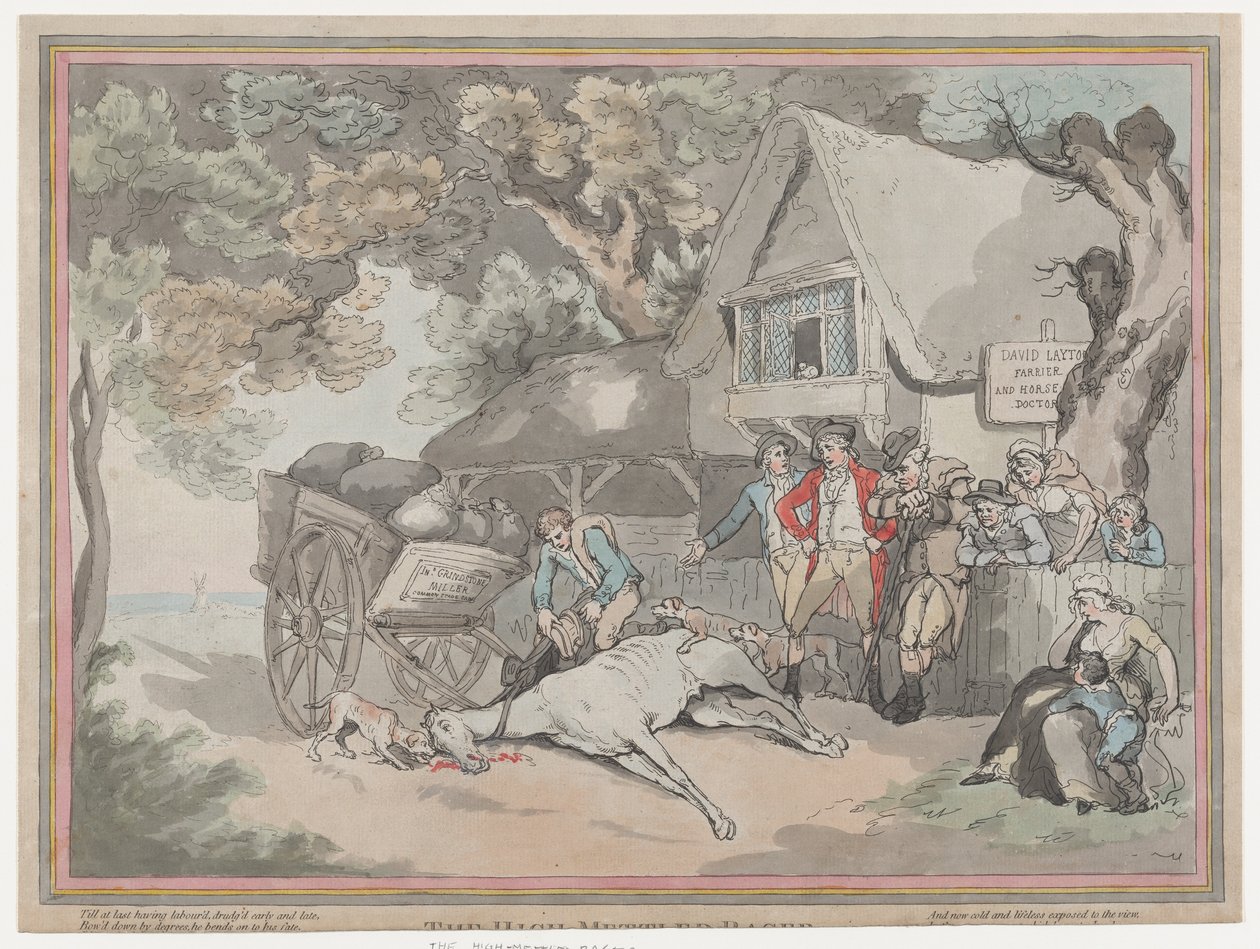 The Cart Horse från The Life of a Racehourse, eller The High-Mettled Racer, 2 juli..., 20 juli 1789. av Thomas Rowlandson