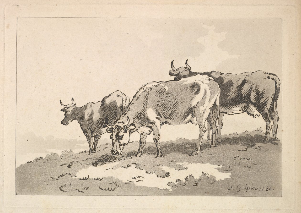 Tre kor som står på kanten av ett fält, 1784-87. av Thomas Rowlandson
