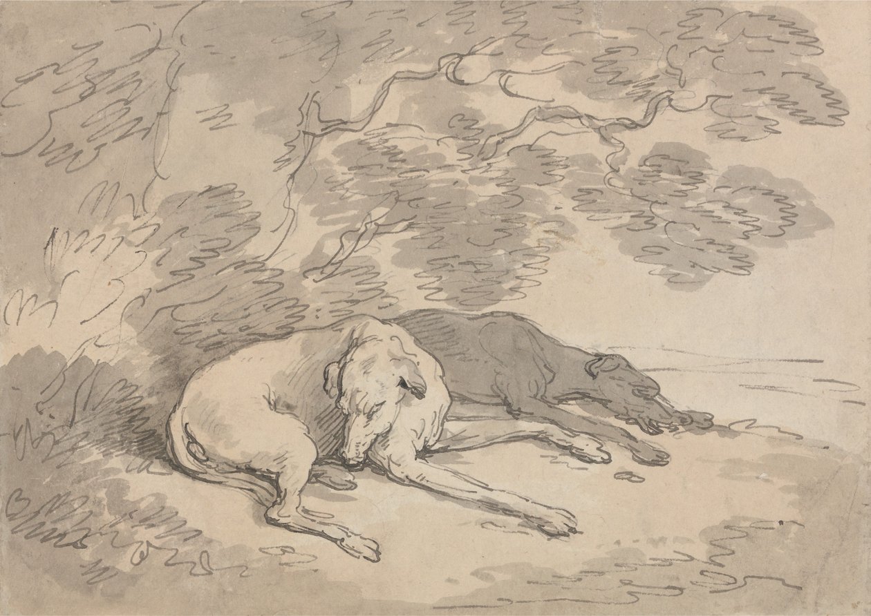 Två vinthundar som ligger under ett träd av Thomas Rowlandson